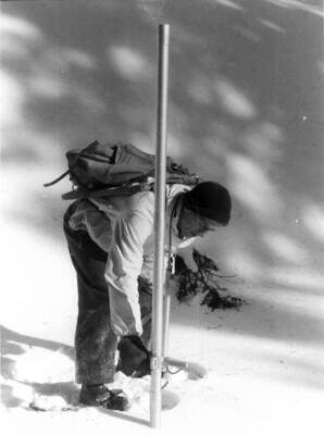 B. Mutch driving home the tube at the Benton Spring snow course.