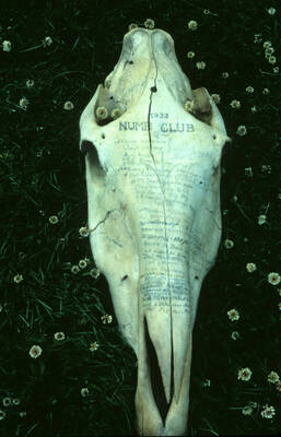 Appeared on p. 94 of Wellner's history of Priest Creek Experimental Forest.