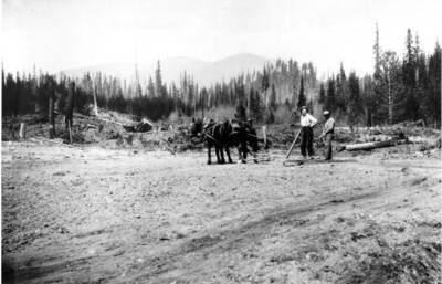 From photo record: "Sec. 22 T19N R30W. Sarenac, Sarenac Nursery, Lolo Forest. General view of nursery site from bench above seed bed area." Clearing new area.