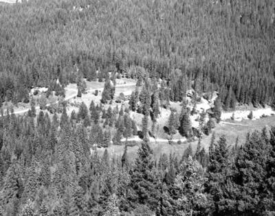 Filed in Priest Creek Experimental Forest Photo box #4."1954" written on page.