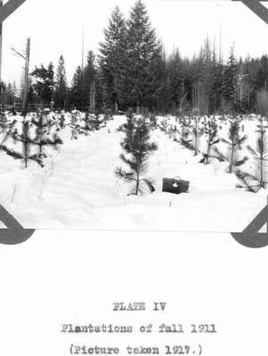 Caption reads: "Plate IV, Plantations of fall 1911 (Picture taken 1917.)"