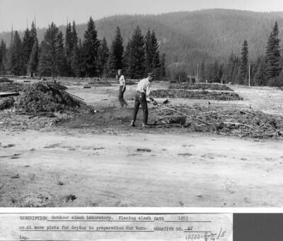 Outdoor slash laboratory. Placing slash on 0.01 acre plots for drying in preparation for burning.