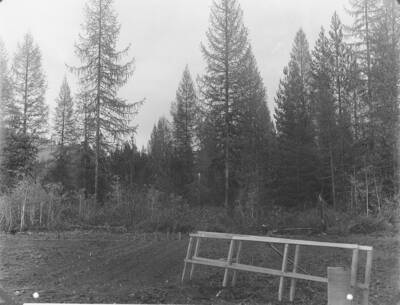 Plate XIX -A- caption: "Same as shown in Plate XIX from a different angle."