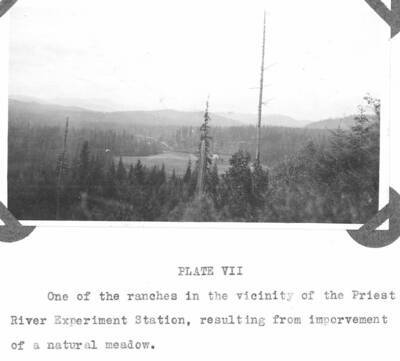 Plate VII caption: "One of the ranches in the vicinity of the Priest River Experiment Station, resulting from improvement of a natural meadow." At present, the site is known as the East River Ranch and still operating.