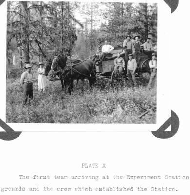 Plate X caption: "The first team arriving at the Experiment Station grounds and the crew which established the Station." Wellner identified the crew as from left to right: Louie White, (?), Douglas MacDonald, Howard Simson, Raphael Zon, W.W. Morris, Ed Brown(?), Donald Brewster, John Kirk (?),"Dad" Crosby, F.I. Rockwell.