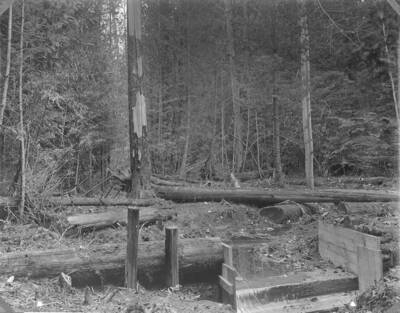 Plate XIII caption: "Reservoir site and partially completed dam on Benton Creek, to provide water supply for the Priest River Experimental Station, Kaniksu National Forest." This structure was later replaced by a concrete dam, which was abandoned in 1963 when a deep well was drilled to provide for the residences.