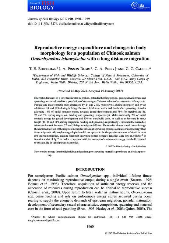 Reproductive energy expenditure and changes in body morphology for a population of Chinook salmon Oncorhynchus tshawtyscha with a long distance migration
