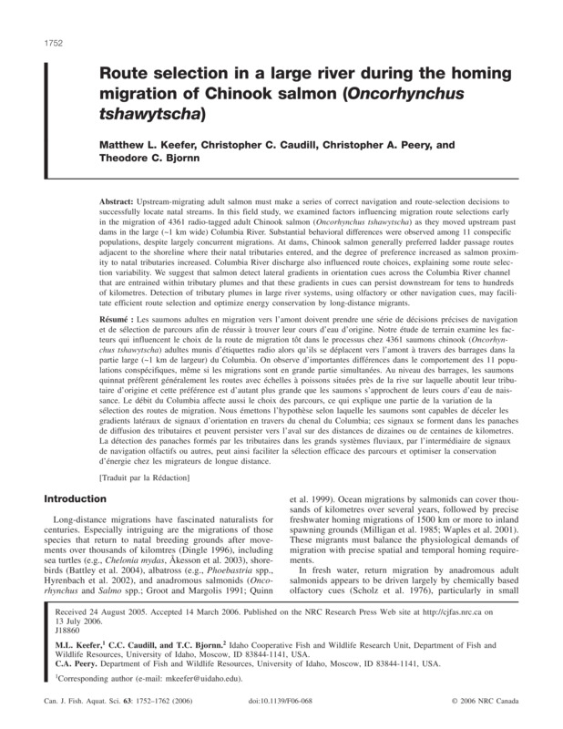 Route selection in a large river during the homing migration of Chinook salmon (Oncorhynchus tshawytscha)