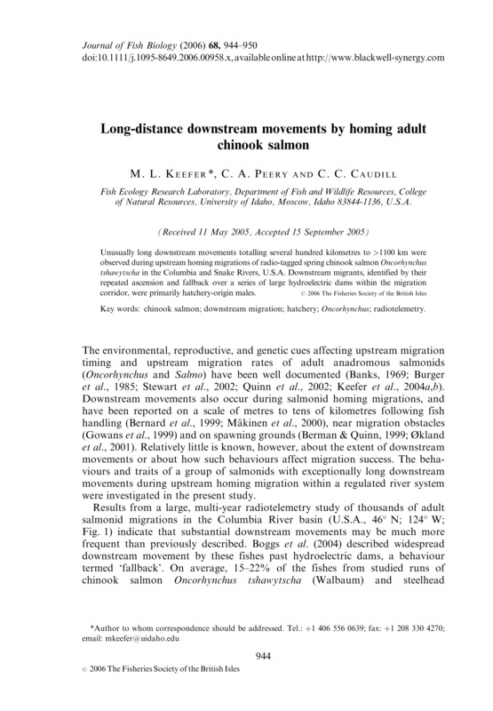 Long-distance downstream movements by homing adult chinook salmon