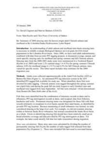 Fall Chinook and steelhead fallback via B1 and B2 turbines; 2002-2004