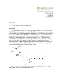 Behavior of radio-tagged adult spring Chinook at The Dalles Dam - 2007