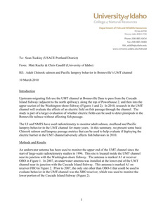 Adult Chinook salmon and Pacific lamprey behavior in Bonneville’s UMT channel