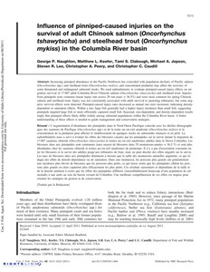 Influence of pinniped-caused injuries on the survival of adult Chinook salmon (Oncorhynchus tshawytscha) and steelhead trout (Oncorhynchus mykiss) in the Columbia River basin