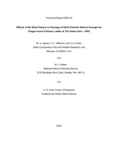 Effects Of The Shad Fishery On Passage Of Adult Chinook Salmon Through The Oregon-Shore Fishway Ladder At The Dalles Dam – 2002