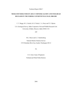 Migration Behavior Of Adult Chinook Salmon And Steelhead Released In The Forebay Of Bonneville Dam, 2000-2001