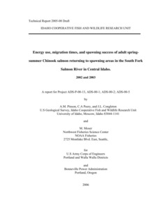 Energy Use, Migration Times, And Spawning Success Of Adult Spring-Summer Chinook Salmon Returning To Spawning Areas In The South Fork Salmon River In Central Idaho. 2002 And 2003