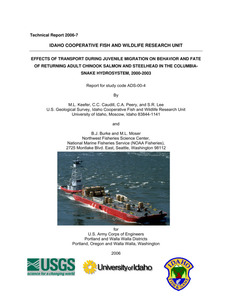 Effects Of Transport During Juvenile Migration On Behavior And Fate Of Returning Adult Chinook Salmon And Steelhead In The Columbia Snake Hydrosystem, 2000-2003
