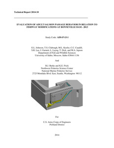 Evaluation Of Adult Salmon Passage Behavior In Relation To Fishway Modifications At Bonneville Dam - 2013