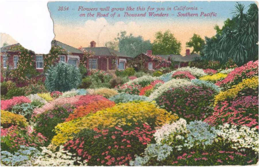 Postcard from Colonel J. W. Redington to Don Custer Fisher, Stanton Fisher's youngest son. Redington claims the postcard portrays a garden plot where Stanton Fisher once grew blackberries.