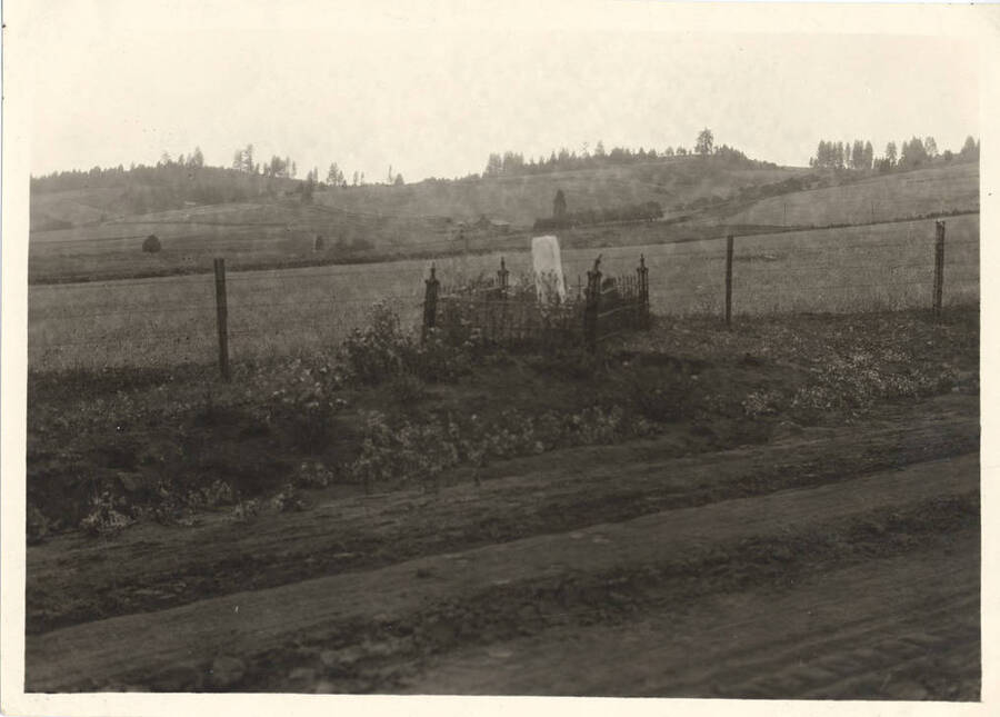 Photograph of the spot where William Foster fell.