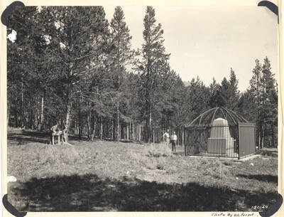 Photograph of a monument in Beaverhead National Forest erected in memory of those who died while fighting in the Nez Perce Wars.