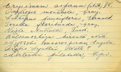Note card containing the scientific names of various plants.