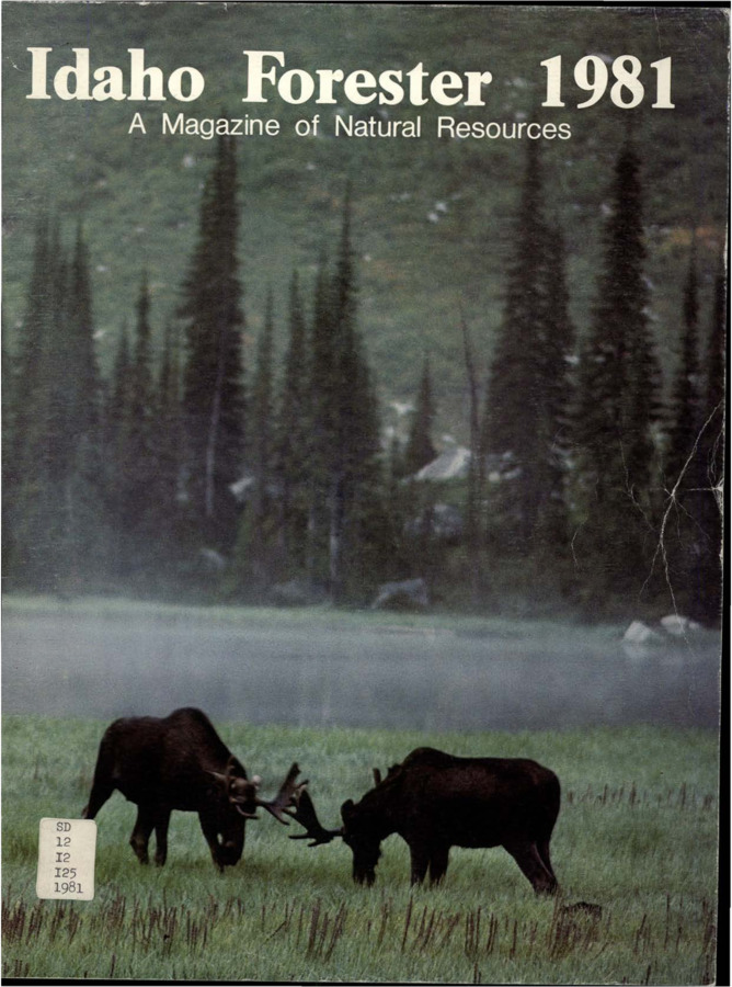 The Idaho Forester - 1981 (Vol. 62)