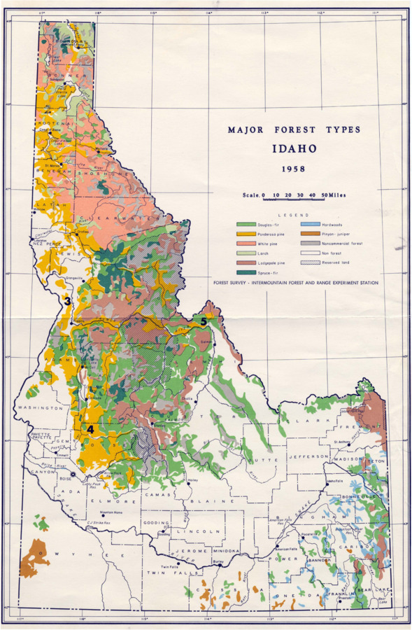 A forest survey map of Idaho.