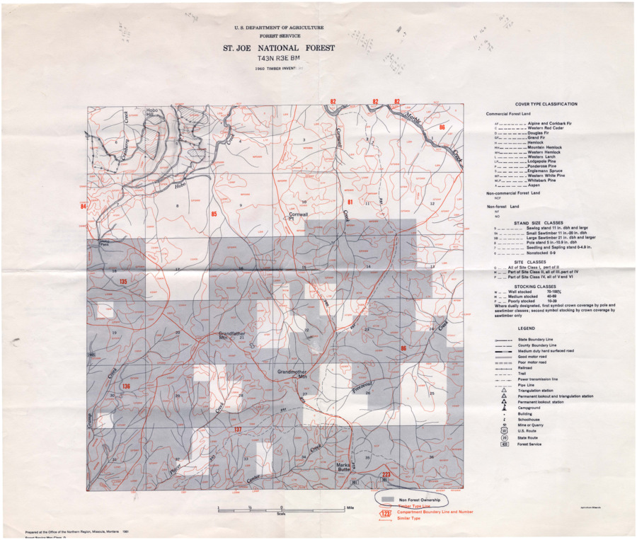 A timber inventory map of the St. Joe National Forest.  Map number T43N R3E BM.
