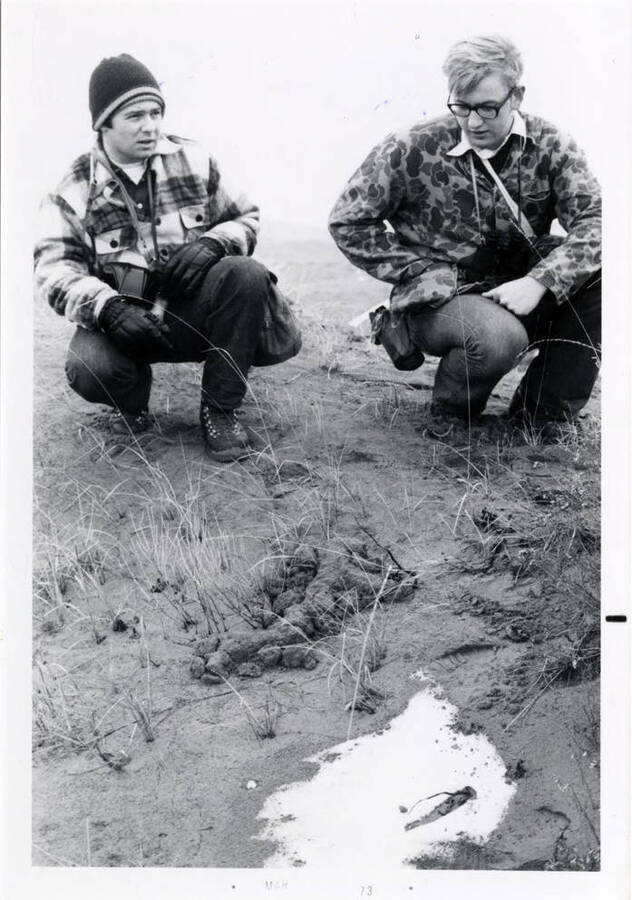 A black and white photo of two men inspecting gopher eskers.