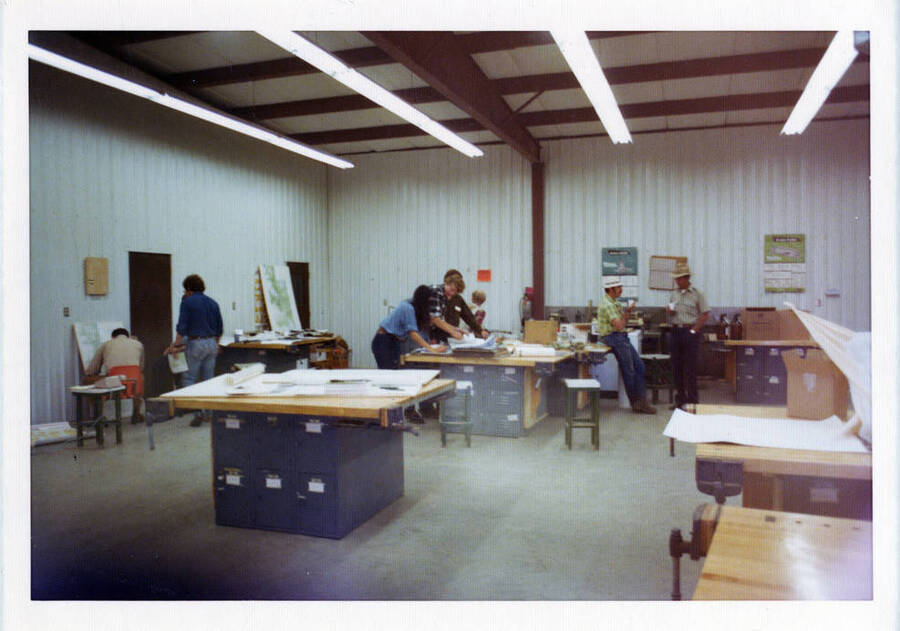 Tussock Moth Headquarters: Lister, Ken (green shirt); Smith, Laura (long black hair); Douglas, Steve (next to Laura); Livingston, Tadd (orange chair)