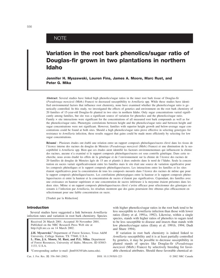 Several studies have linked high phenolics/sugar ratios in the inner root bark tissue of Douglas-fir (Pseudotsuga menziesii (Mirb.) Franco) to decreased susceptibility to Armillaria spp. While these studies have identified environmental factors that influence root chemistry, none have examined whether the phenolics/sugar ratio is genetically controlled. In this study, we investigated the effects of genetics and environment on the root bark chemistry of 20 families of 15-year-old Douglas-fir planted in two sites in northern Idaho. Only sugar concentrations varied significantly among families, but site was a significant source of variation for phenolics and the phenolics/sugar ratio.  Family x site interactions were significant for the concentrations of all measured root bark compounds as well as for the phenolics/sugar ratio. Phenotypic correlations between height and the phenolics/sugar ratio and between height and sugar concentrations were not significant. However, families with superior height growth and below-average sugar concentrations could be found at both sites. Should a high phenolics/sugar ratio prove effective in selecting genotypes for resistance to Armillaria infection, these results suggest that gains could be made more efficiently by selecting for low sugar concentrations.