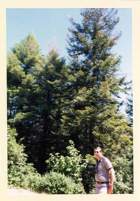 EPA Rep. on Mineral Mountain