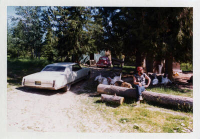 Landowner and Turkeys