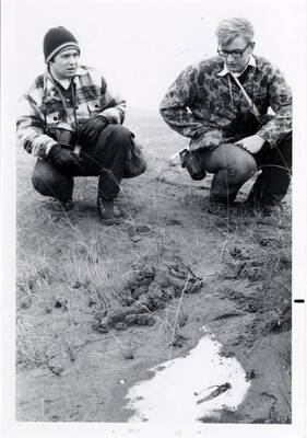 A black and white photo of two men inspecting gopher eskers.