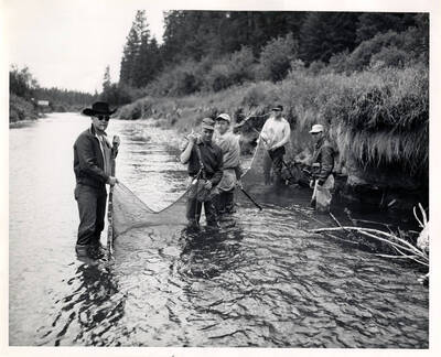 Seining in Huft Lake.