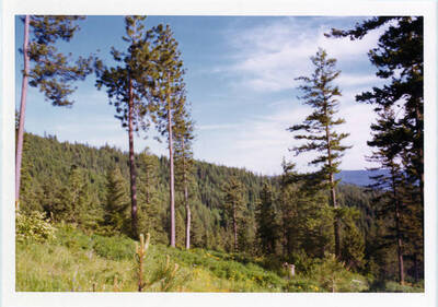 Moses Mtn Subdivision Residuals Against Spray