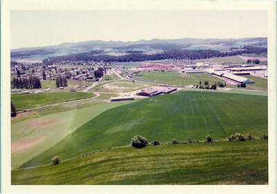 Potlatch High School Headquarters for Tussock Moth Control