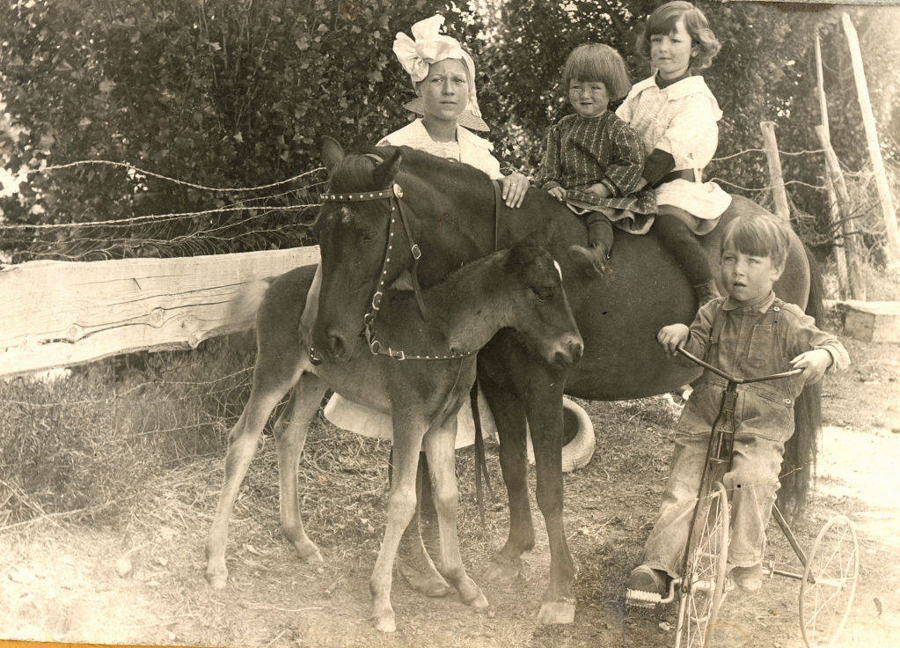 A group of four children are outdoors near a wooden fence. Two of the children are sitting on a horse, with one child holding the reins. A foal stands near the horse. Another child sits on a tricycle, looking forward. The children are dressed in early 20th-century clothing, and there are trees and simple fencing in the background.