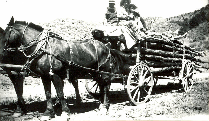 A horse-drawn wagon loaded with logs is on a dirt path. Three people sit on top of the logs, one wearing a wide-brimmed hat and another with a hat and shirt. The scene is surrounded by hills and vegetation.