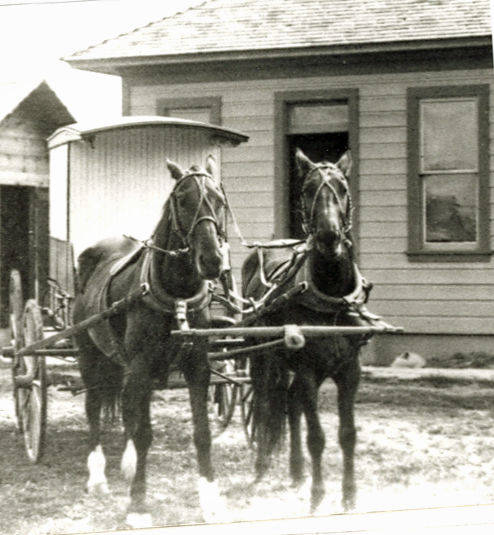 Two horses harnessed to a carriage stand in front of a wooden house with a shingled roof. An additional small structure is partially visible in the background.