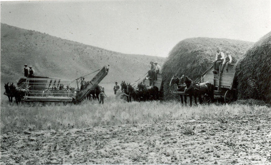 A rural scene depicting several people working with haystacks in the background. There are two groups of horses, each pulling wagons filled with hay. People are standing on the wagons and beside an agricultural machine, likely engaged in harvesting tasks. The setting is a field with hills in the distance.
