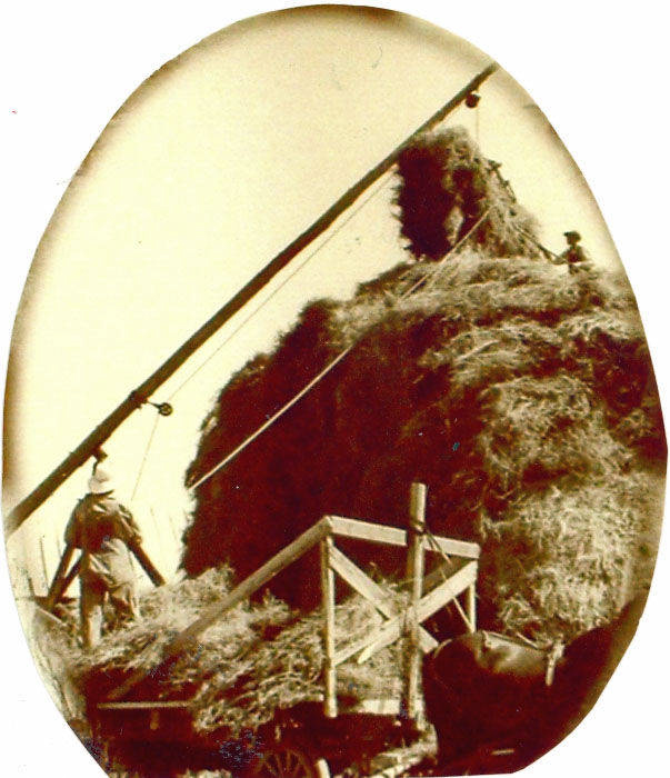 A person standing on a wooden platform next to a large haystack that is being loaded onto a cart. A pole with ropes is used to assist in stacking the hay. An animal is partially visible at the bottom, likely connected to the cart.