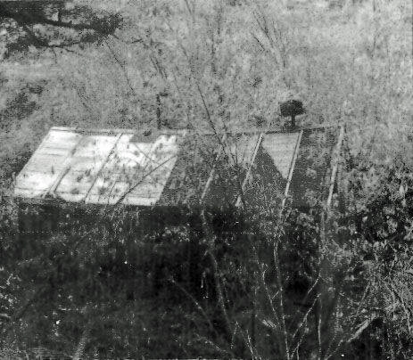 A greenhouse surrounded by overgrown vegetation. The structure has a slightly slanted roof with panels. The area around the greenhouse is densely covered with plants, making it look somewhat abandoned.