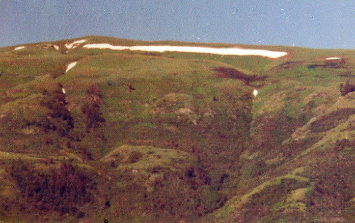 A grassy hillside with patches of snow forming an irregular line near the top, set against a clear sky.