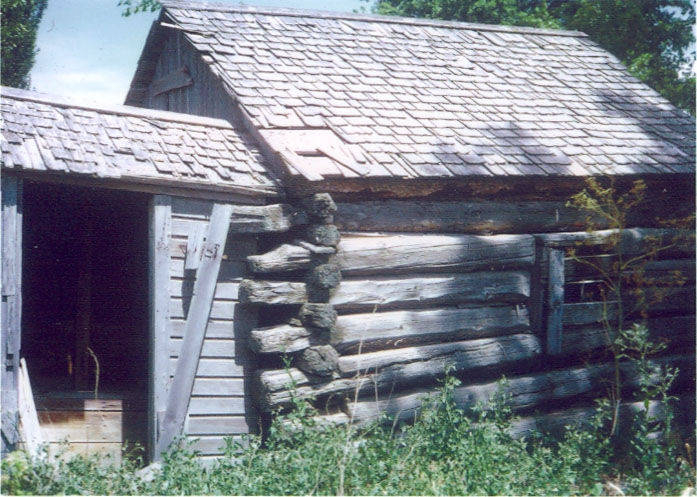 A log cabin with a shingled roof and an attached wooden structure with a partially open door, surrounded by overgrown vegetation.