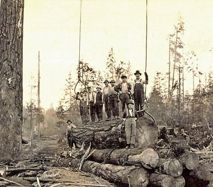 A group of men standing on large logs in a forest. They are wearing hats and suspenders, and appear to be engaged in logging work. Two ropes with hooks are hanging from above, attached to the logs. The background shows felled trees and a wooded area.