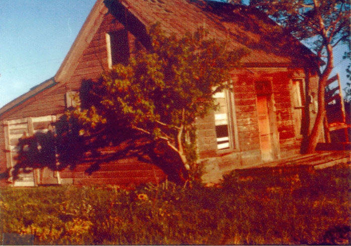 An old wooden house with weathered boards and a steep gabled roof. A small, leaning tree grows in front of the house, casting a shadow. There is a window with open shutters and a door that appears slightly ajar. Grass surrounds the base of the house. No visible text.