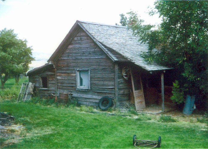 A small wooden shed with a pitched roof, featuring a single window. There are various items leaning against the side, including a spare tire and wooden planks. The door is ajar, and a wheelbarrow is on the grass in the foreground. Trees and bushes surround the building.