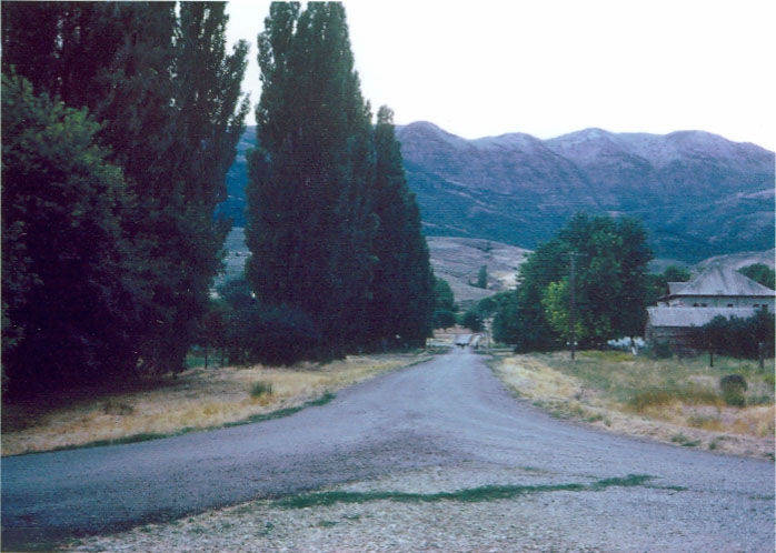 A narrow road leads into the distance, flanked by tall trees and grassland. There are mountains in the background and a building on the right side. The scene appears rural and tranquil.